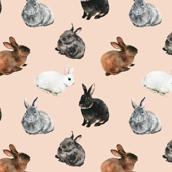 Spring Bunnies in Shell