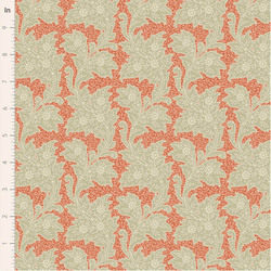 Stella in Coral