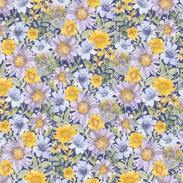 Daisy Garden in Evening
