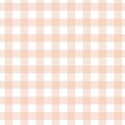 Gingham in Apricot