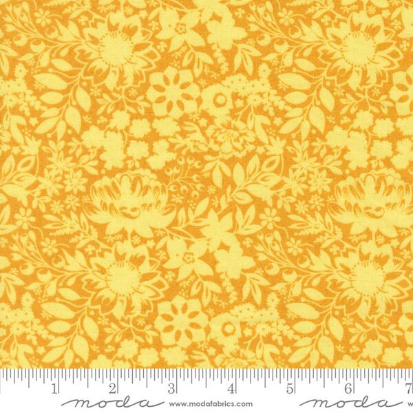 Fen in Lemon Drop