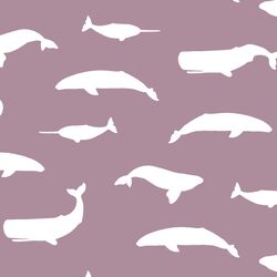 Whale Silhouette in Celestial