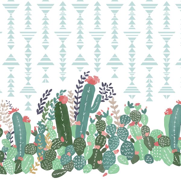 Succulent Double Border in Oasis