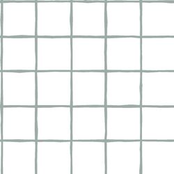Windowpane in Eucalyptus on White