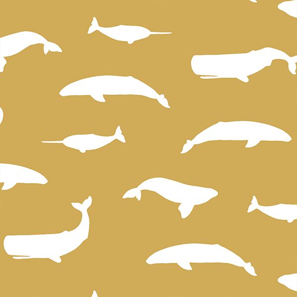 Whale Silhouette in Straw