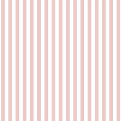 Dress Stripe in Blush