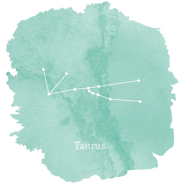 Taurus Sign Panel in Succulent