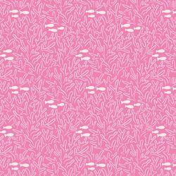 Swimming through Coral in Hibiscus