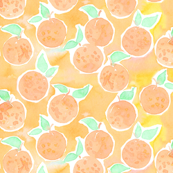 Oranges in Grove