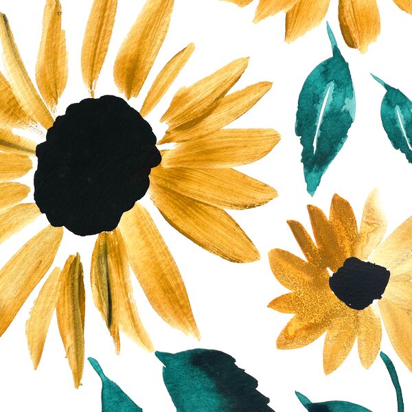Large Blooming Sunflowers in Sunset Garden