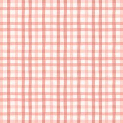 Gingham in Rose
