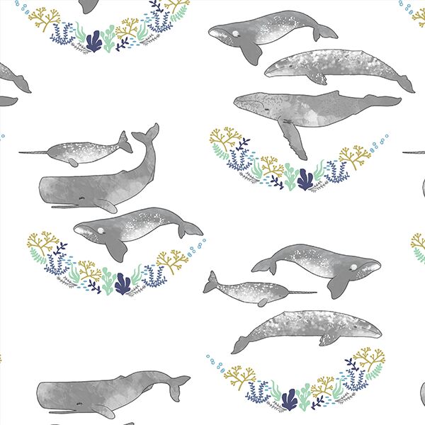 Whale Hello There in Briney Seas