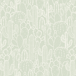 Cactus Patch in Cloud