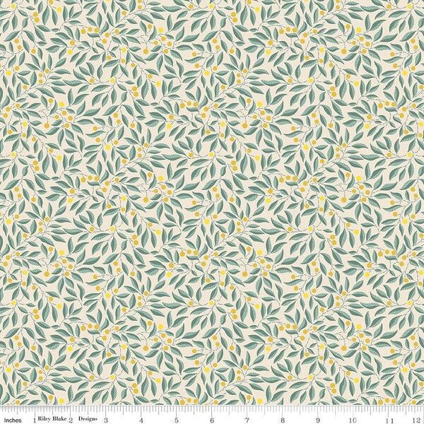 Willow Stitch in C