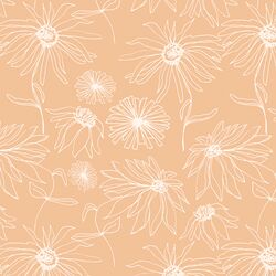 Aster Sketch in Bloom