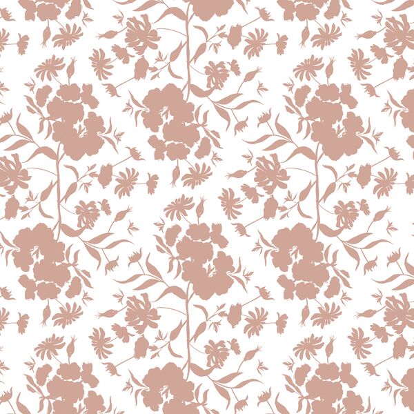 Phlox Silhouette in Rose