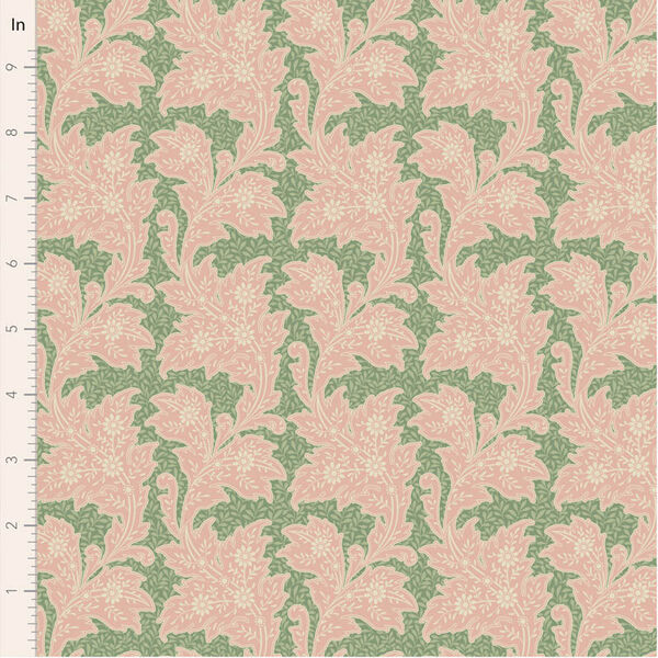 Stella in Sage