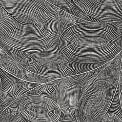 Ovals and Echoes in Black