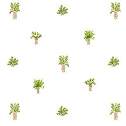 Palm Trees in Growth