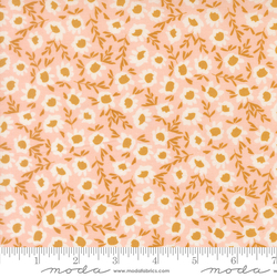 Blossoms in Blush