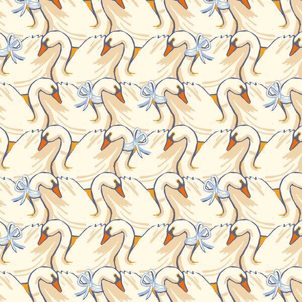 Graceful Swans in Feathered