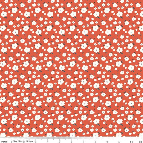 Flower Bed in Orange
