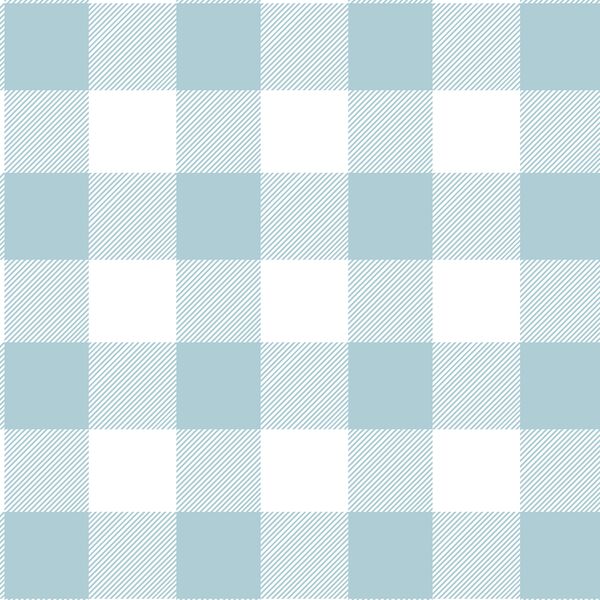Buffalo Plaid in Powder Blue