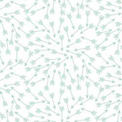 Arrows in Mint on White