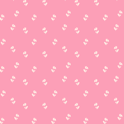 Wild Daisy in Bubble Gum