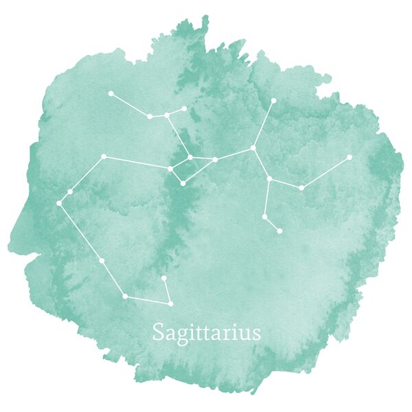 Sagittarius Sign Panel in Succulent