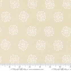 The Big Bang in White on White