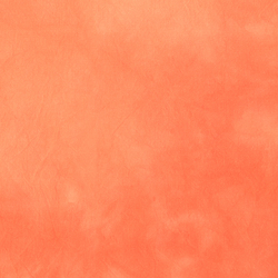 Palette in Guava