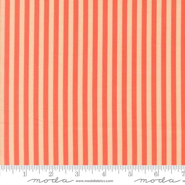 Stripe in Coral