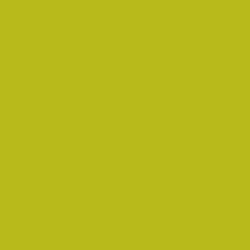 Ruby and Bee Solid in Avocado