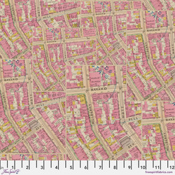 Map in Pink