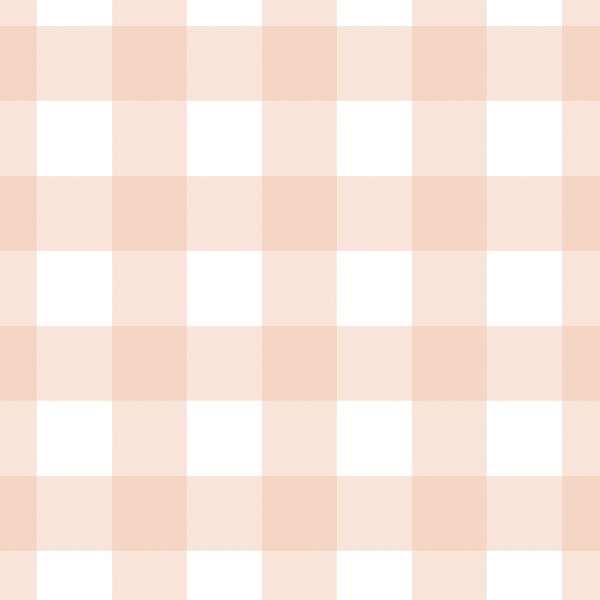 Large Gingham in Apricot