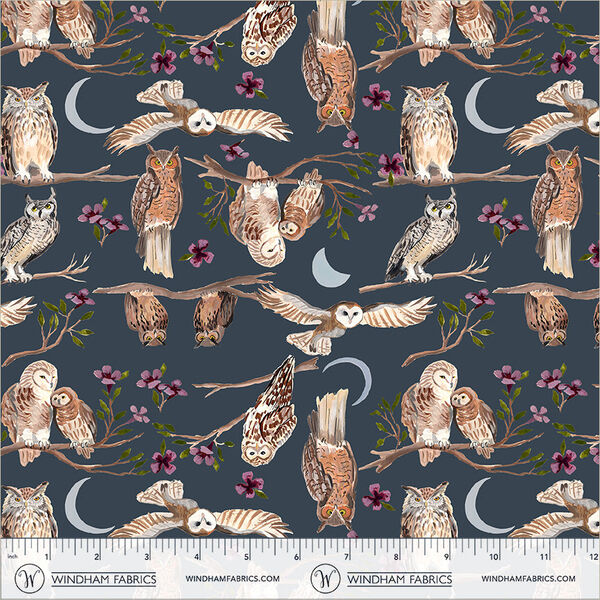 Night Birds in Night