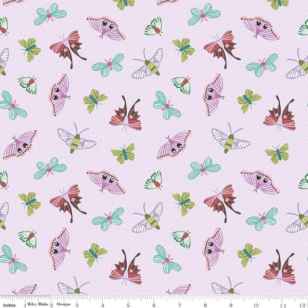 Moths in Lavender