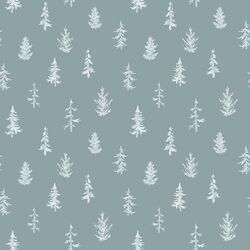 Winter Forest in Spruce