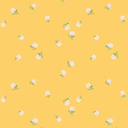 Blooming Rain in Sunlight