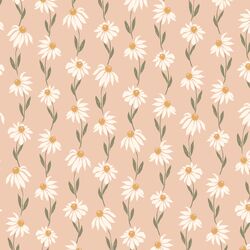 Valentine Daisy in Pretty Peach