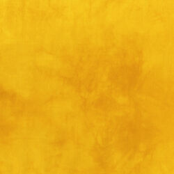 Palette in Saffron