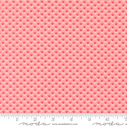 June in Blush