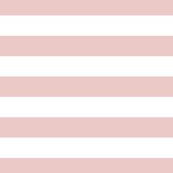 Horizontal Play Stripe in Blush