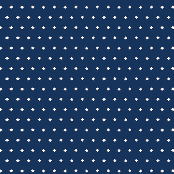 Goodness Thoughts in Navy