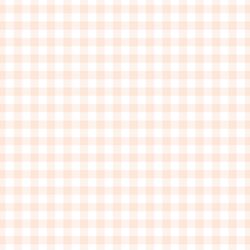 Little Gingham in Light Pink