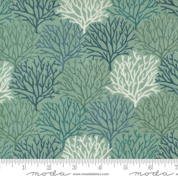 Coastal Coral in Aqua