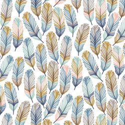 Feathers in Tangier