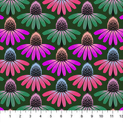 Echinacea Rhythm in Forest