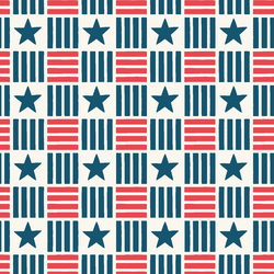 Stars and Stripes Check in Firecracker